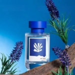 Funday Blue Ocean Fragrance Diffuser, 120ml - Image 2